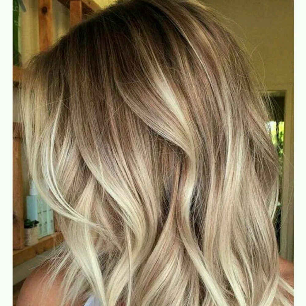 Meet your Posher, Jessie